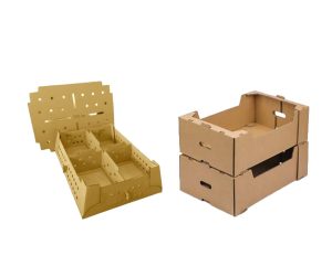 CAJAS TROQUELADAS AGRO